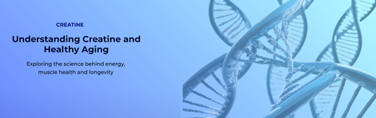 Creatine Monohydrate and Healthy Aging Support