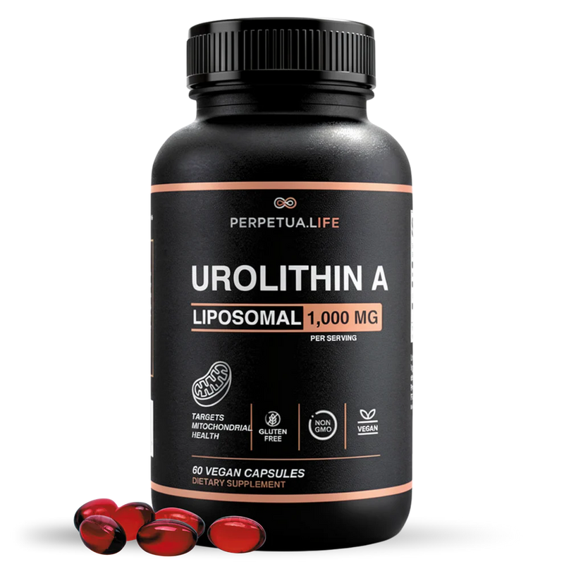 Perpetua.Life Urolithin A 1000mg liposomal mitochondrial formula